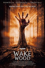 Wake Wood (2011)