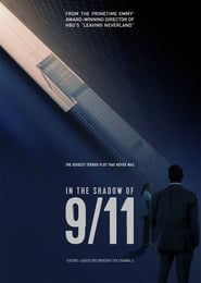 In the Shadow of 9/11 (2021)